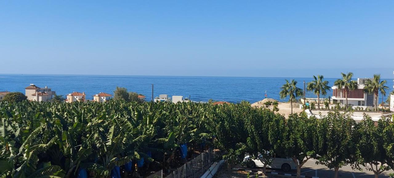 Harmony Seaview Apartments Paphos Eksteriør bilde